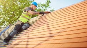 Best Solar Panel Roofing Installation  in La Marque, TX